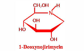 1-脱氧野霉素（DNJ）