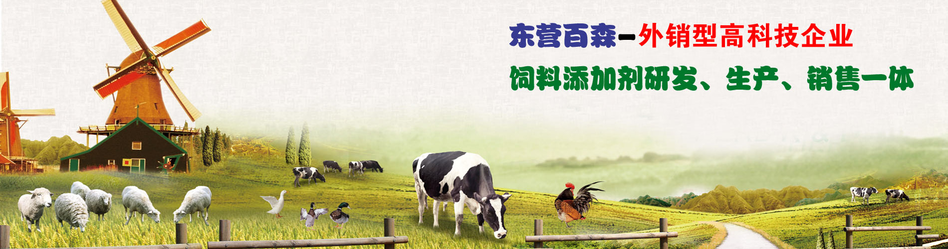 广告4